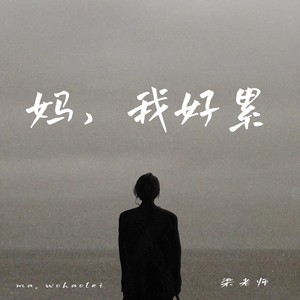 妈，我好累（我的人生连毛坯都不是）