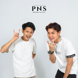 PNS (Pengangguran Nampak Sukses)