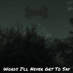 Words I'll Never Get To Say