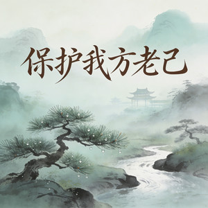 保护我方老己