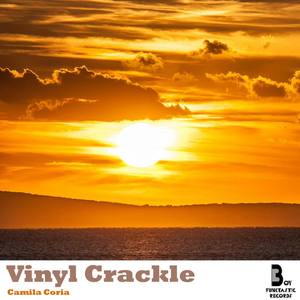 Vinyl Crackle