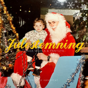 Linda Vidala - Julestemning