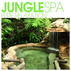 Jungle SPA - Pure Relaxation