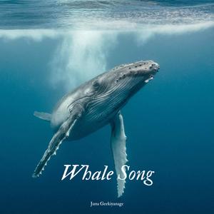 Whale Song