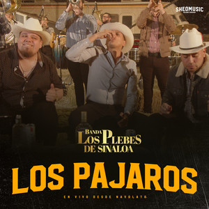 Los Pajaros ( En Vivo )