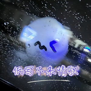 佤写不来情歌封面