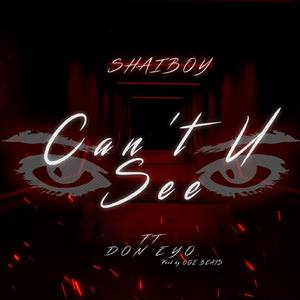 Can't U See (feat. Don Eyo)