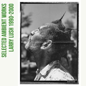 LARRY LUSH - Gates of Joy