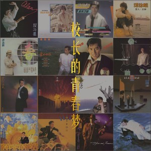 红尘岁月封面