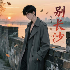 别长沙