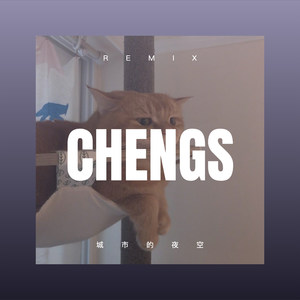 痛的承诺 (DJ版)