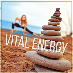 Vital Energy