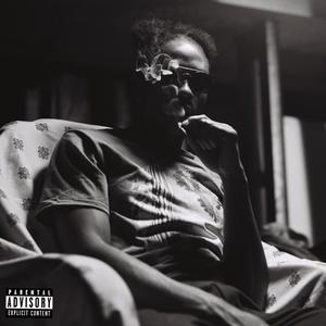 Niggas (feat. Ashley Sno) (Explicit)