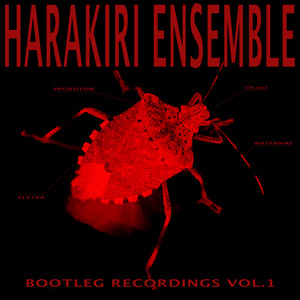 Bootleg Recordings, Vol. 1