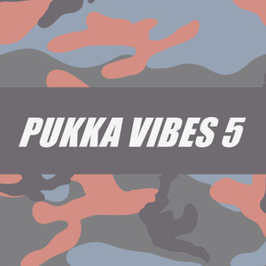 PUKKA VIBES 5