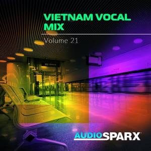 Vietnam Vocal Mix Volume 21