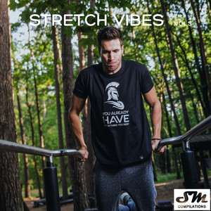 Stretch Vibes, Vol. 5