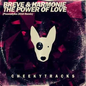 The Power Of Love (Poomstyles 2016 Remix)