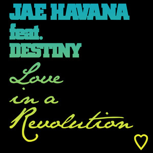 Love in a Revolution (feat. Destiny) (Explicit)