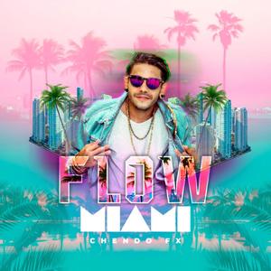 Flow Miami