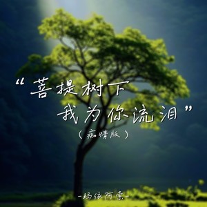 玛依阿索 - 菩提树下我为你流泪 (痴情版)