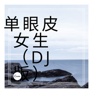 点歌的人 (DJ版)