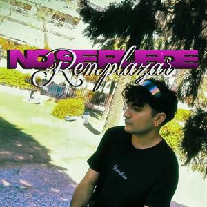 No Se Puede Remplazar