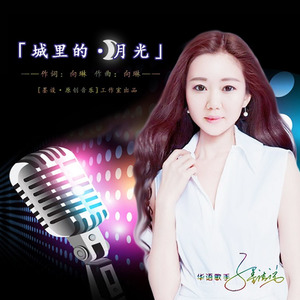 城里的月光 (伴奏)