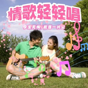 情歌轻轻唱 (DJ沈念版)