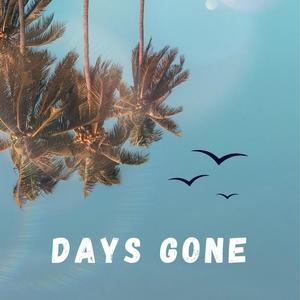 Days Gone (feat. Lil Mizu) (Explicit)