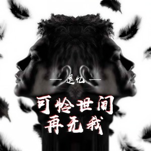 可怜世间再无我