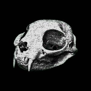 Pseudo Panther (Explicit)