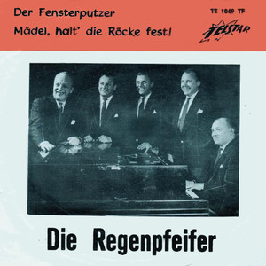 Die Regenpfeifer - Der Fensterputzer