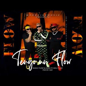 Tengo un Flow (feat. Boli Flow)