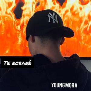 Te Robaré