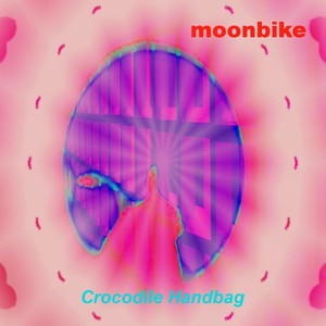 Crocodile Handbag