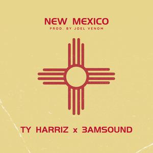 NEW MEXICO (feat. 3AMsound)
