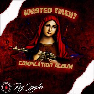 Wasted Talent (Explicit)