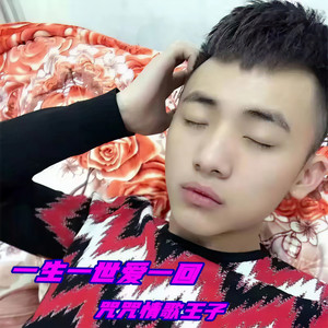 一生一世爱一回