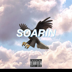 SOARIN (Explicit)