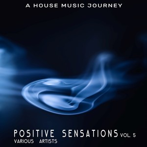 Positive Sensations, Vol. 5