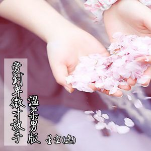 星空(逸) - 爱到卑微才放手 (温柔男版)