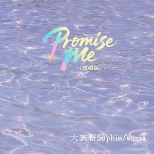 Promise Me (对唱版伴奏)