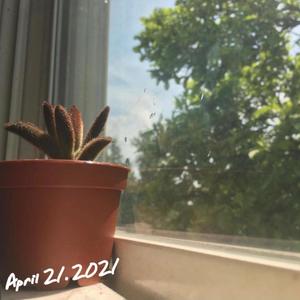 April 21, 2021