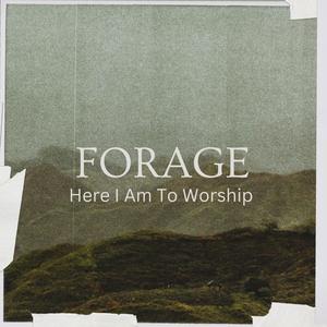 Here I Am To Worship pop/punk (feat. Gant)