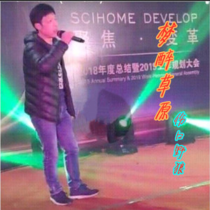 梦醉草原 (DJ何鹏版) - 伤口野狼封面
