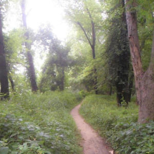 torn apart. (feat. Poīsn) (Explicit)