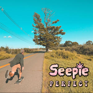 Perfect (Just Oozin’ Mix)