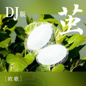 茧 (DJ版伴奏)