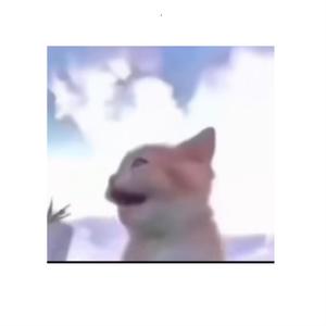 LA GATA DE SCHORIDENGER (feat. WinnieThe PooTamadre)